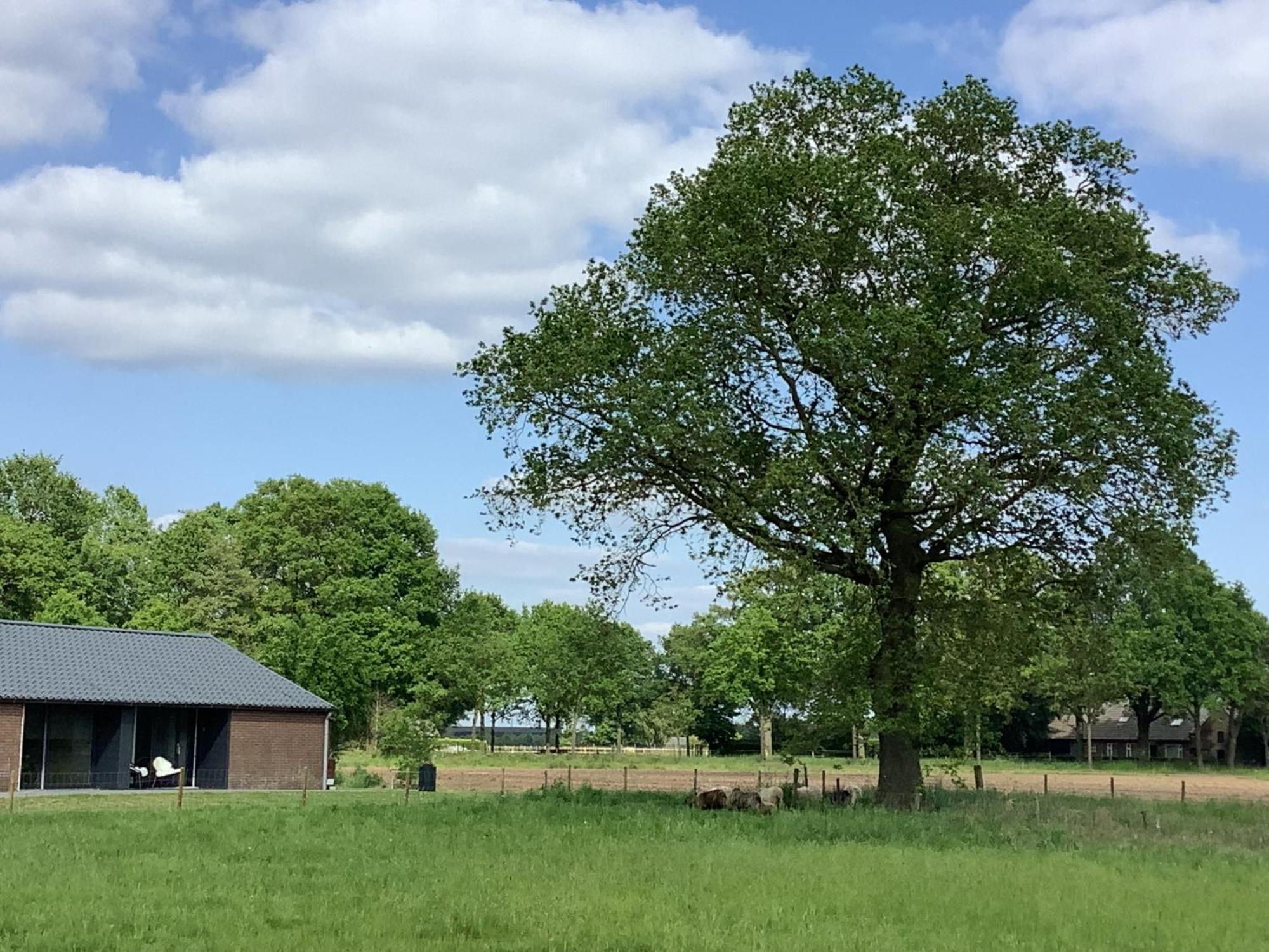 Gastenverblijf Dalem Met Hottub En Landelijk Villa Hapert Exterior foto